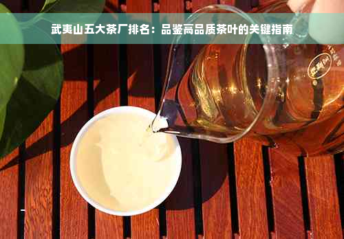 武夷山五大茶厂排名：品鉴高品质茶叶的关键指南