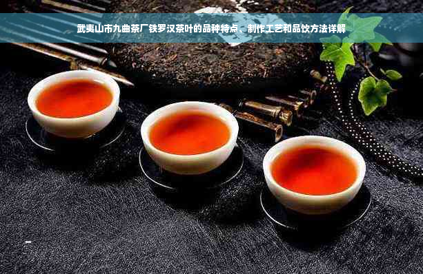 武夷山市九曲茶厂铁罗汉茶叶的品种特点、制作工艺和品饮方法详解