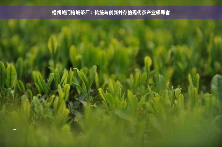 福州城门榕城茶厂：传统与创新并存的现代茶产业领导者