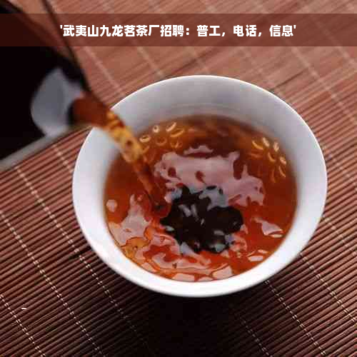 '武夷山九龙茗茶厂招聘：普工，电话，信息'