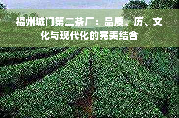 福州城门第二茶厂：品质、历、文化与现代化的完美结合