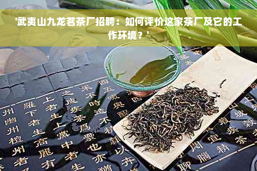 '武夷山九龙茗茶厂招聘：如何评价这家茶厂及它的工作环境？'