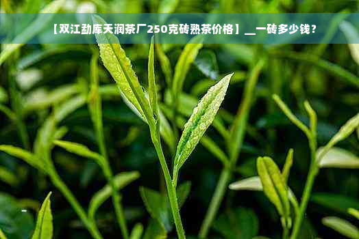 【双江勐库天润茶厂250克砖熟茶价格】__一砖多少钱？