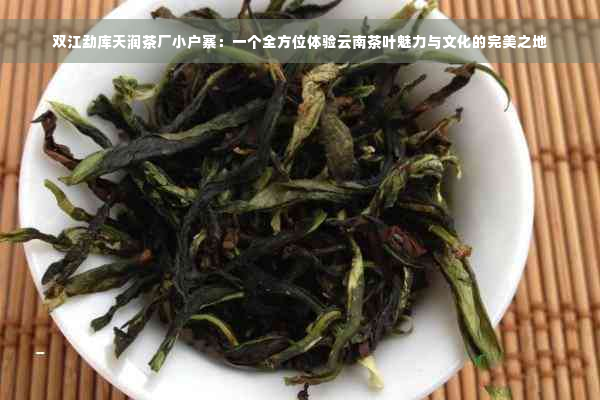 双江勐库天润茶厂小户寨：一个全方位体验云南茶叶魅力与文化的完美之地