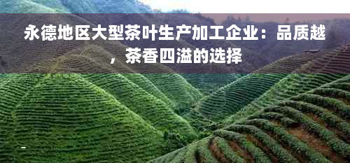 永德地区大型茶叶生产加工企业：品质越，茶香四溢的选择