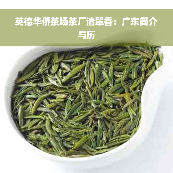 英德华侨茶场茶厂清翠香：广东简介与历