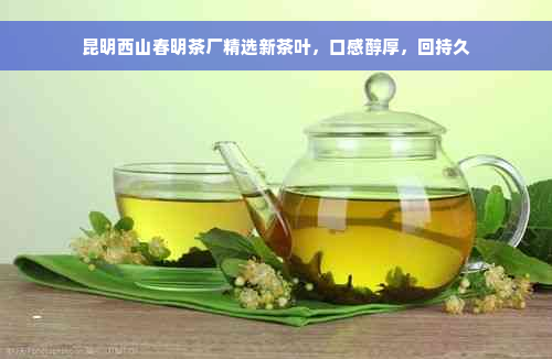 昆明西山春明茶厂精选新茶叶，口感醇厚，回持久