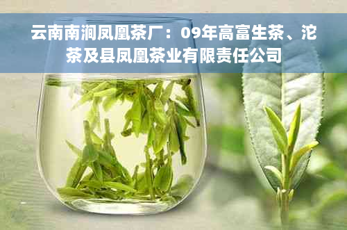 云南南涧凤凰茶厂：09年高富生茶、沱茶及县凤凰茶业有限责任公司