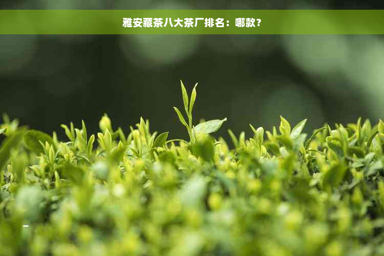 雅安藏茶八大茶厂排名：哪款？