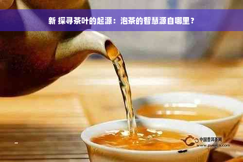 新 探寻茶叶的起源：泡茶的智慧源自哪里？