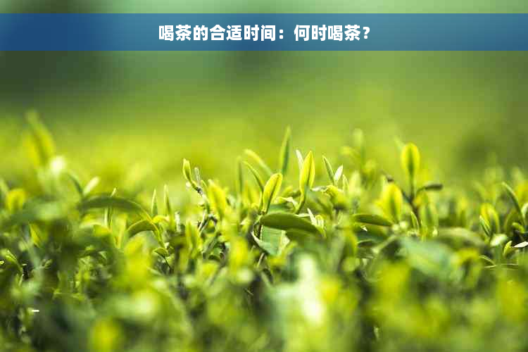 喝茶的合适时间：何时喝茶？