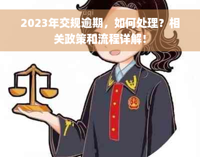 2023年交规逾期，如何处理？相关政策和流程详解！