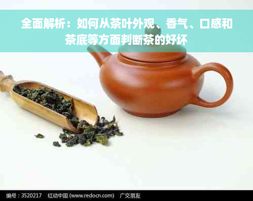 全面解析：如何从茶叶外观、香气、口感和茶底等方面判断茶的好坏