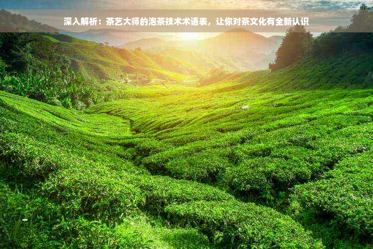 深入解析：茶艺大师的泡茶技术术语表，让你对茶文化有全新认识