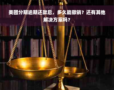 美团分期逾期还款后，多久能撤销？还有其他解决方案吗？