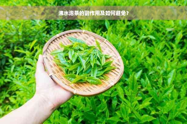 沸水泡茶的副作用及如何避免？