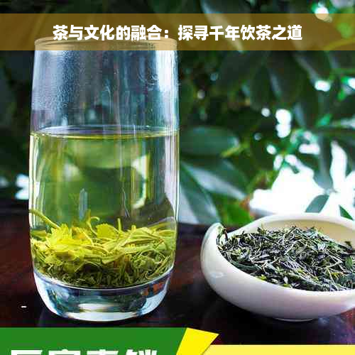 茶与文化的融合：探寻千年饮茶之道