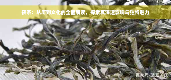 茯茶：从历到文化的全面解读，探索其深远影响与独特魅力