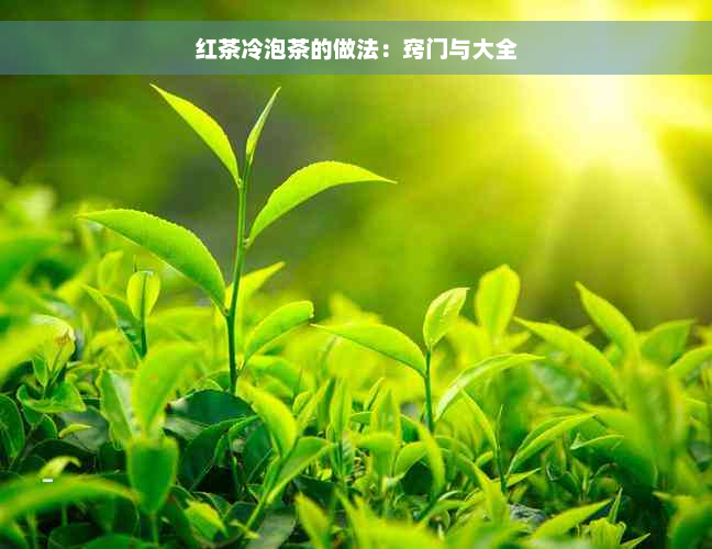 红茶冷泡茶的做法：窍门与大全