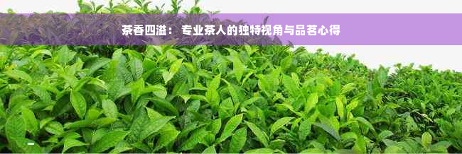 茶香四溢： 专业茶人的独特视角与品茗心得