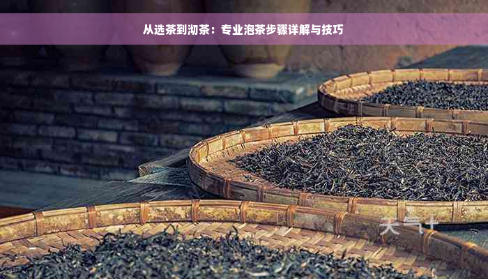 从选茶到沏茶：专业泡茶步骤详解与技巧