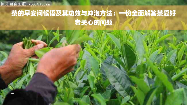 茶的早安问候语及其功效与冲泡方法：一份全面解答茶爱好者关心的问题