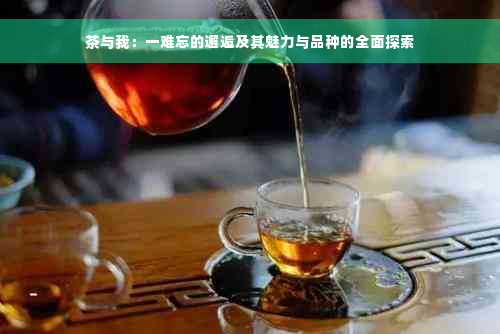 茶与我：一难忘的邂逅及其魅力与品种的全面探索