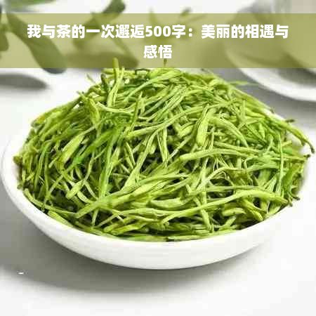 我与茶的一次邂逅500字：美丽的相遇与感悟