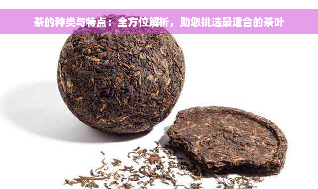 茶的种类与特点：全方位解析，助您挑选最适合的茶叶