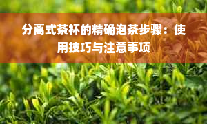 分离式茶杯的精确泡茶步骤：使用技巧与注意事项