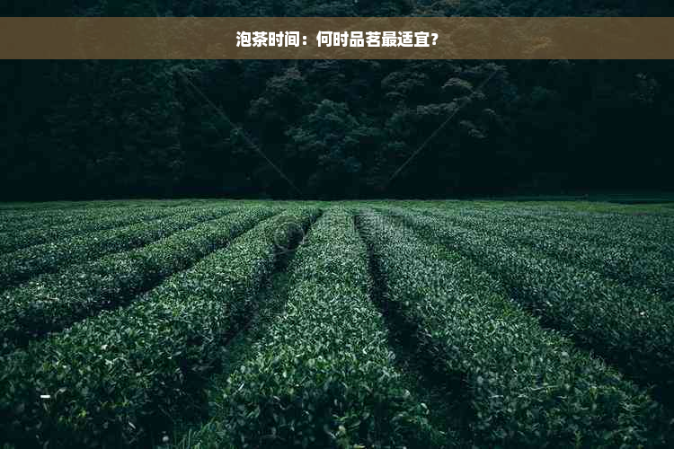 泡茶时间：何时品茗最适宜？