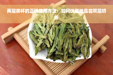 两层茶杯的正确使用方法：如何优雅地品尝双层奶茶