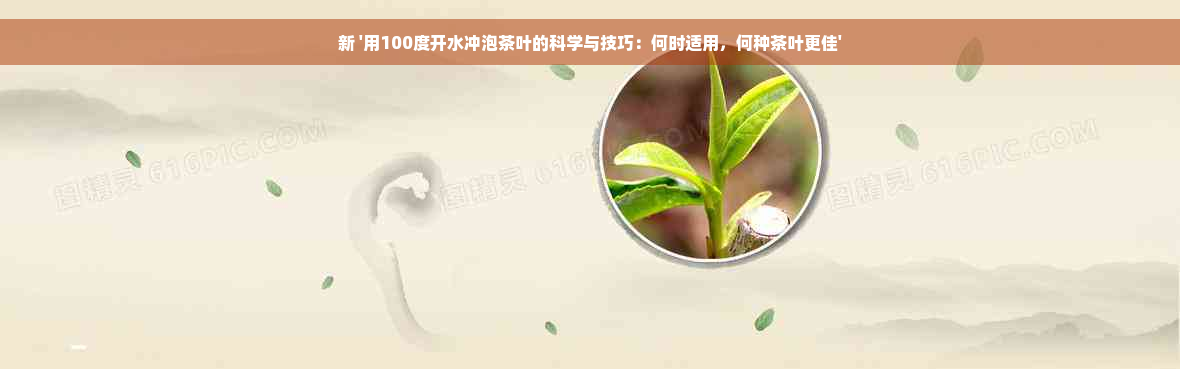 新 '用100度开水冲泡茶叶的科学与技巧：何时适用，何种茶叶更佳'