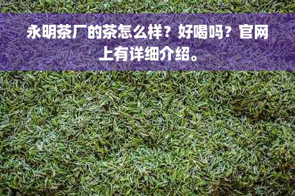 永明茶厂的茶怎么样？好喝吗？官网上有详细介绍。