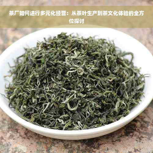 茶厂如何进行多元化经营：从茶叶生产到茶文化体验的全方位探讨