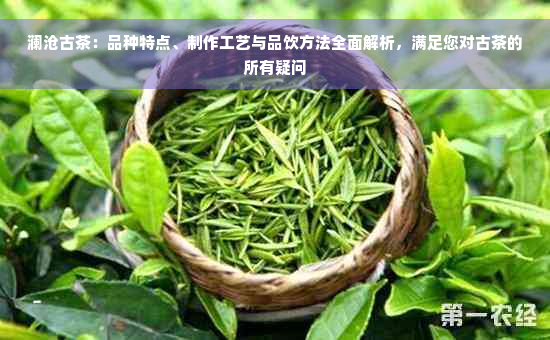 澜沧古茶：品种特点、制作工艺与品饮方法全面解析，满足您对古茶的所有疑问