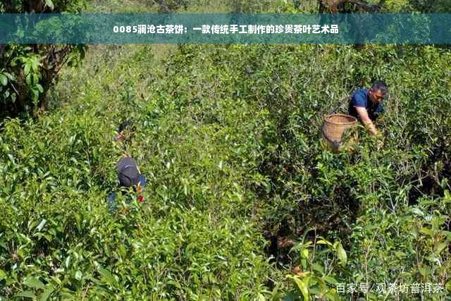 0085澜沧古茶饼：一款传统手工制作的珍贵茶叶艺术品