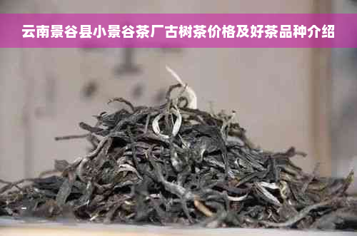 云南景谷县小景谷茶厂古树茶价格及好茶品种介绍