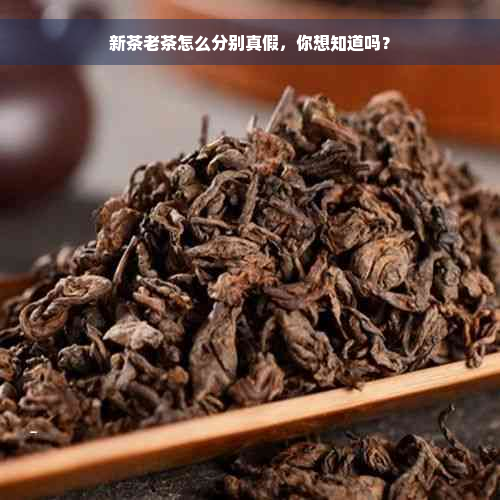 新茶老茶怎么分别真假，你想知道吗？