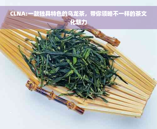 CLNA:一款独具特色的乌龙茶，带你领略不一样的茶文化魅力