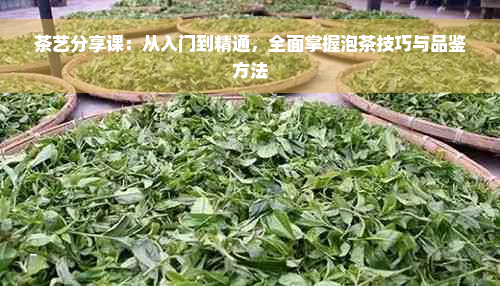 茶艺分享课：从入门到精通，全面掌握泡茶技巧与品鉴方法