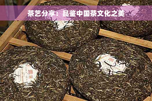 茶艺分享：品鉴中国茶文化之美