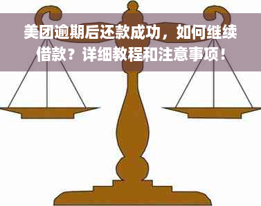 美团逾期后还款成功，如何继续借款？详细教程和注意事项！