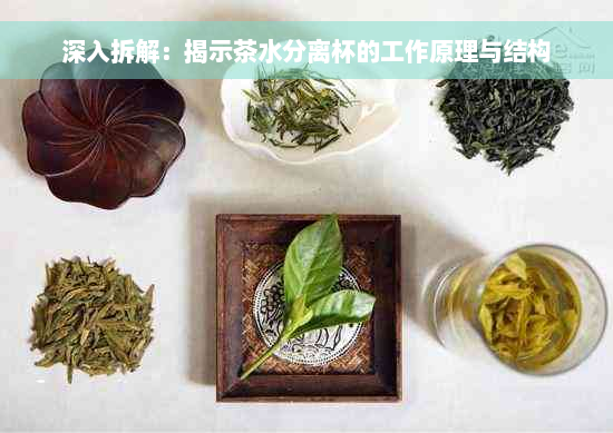 深入拆解：揭示茶水分离杯的工作原理与结构