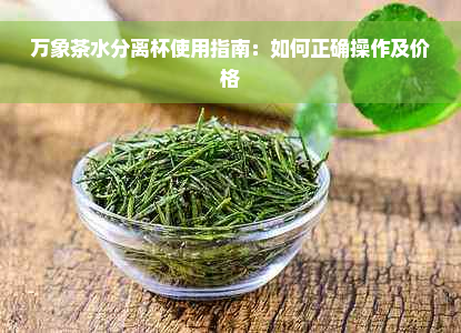 万象茶水分离杯使用指南：如何正确操作及价格