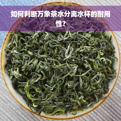 如何判断万象茶水分离水杯的耐用性？