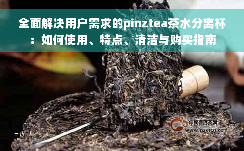 全面解决用户需求的pinztea茶水分离杯：如何使用、特点、清洁与购买指南