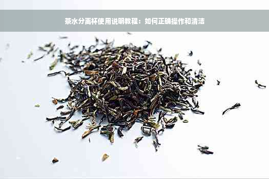 茶水分离杯使用说明教程：如何正确操作和清洁