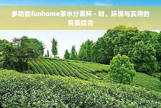 多功能funhome茶水分离杯 - 时、环保与实用的完美结合