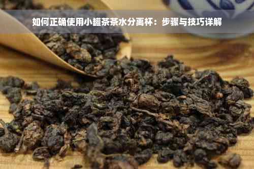 如何正确使用小罐茶茶水分离杯：步骤与技巧详解